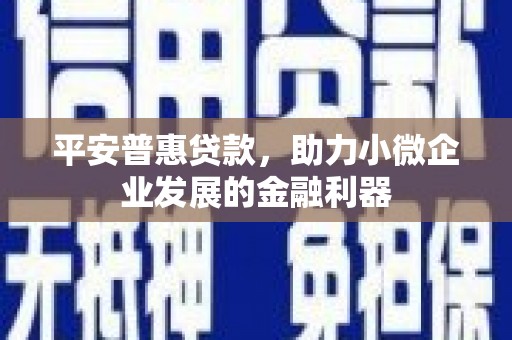 郴州平安普惠贷款，助力小微企业发展的金融利器