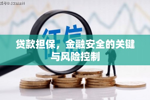 郴州贷款担保，金融安全的关键与风险控制