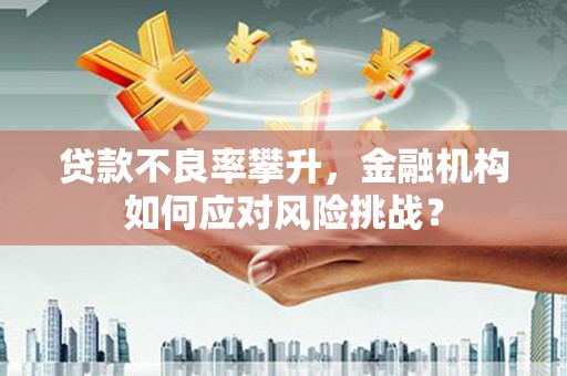 郴州贷款不良率攀升，金融机构如何应对风险挑战？