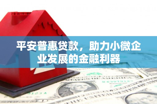 郴州平安普惠贷款，助力小微企业发展的金融利器