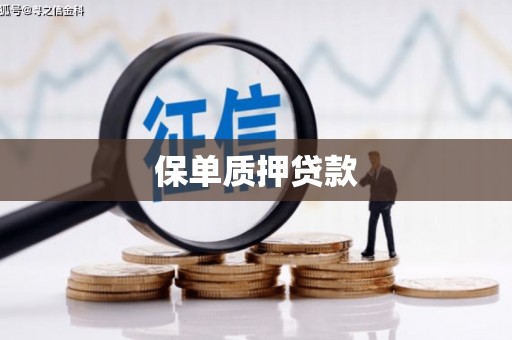 郴州保单质押贷款
