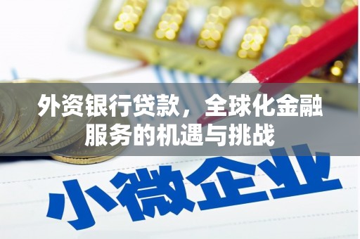 郴州外资银行贷款，全球化金融服务的机遇与挑战