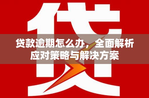 郴州贷款逾期怎么办，全面解析应对策略与解决方案
