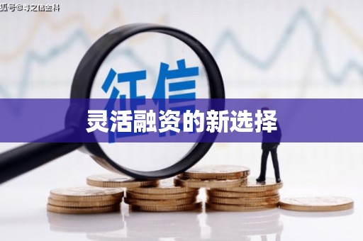 郴州灵活融资的新选择