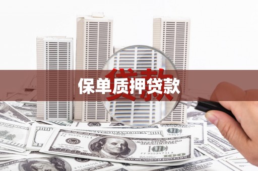 郴州保单质押贷款