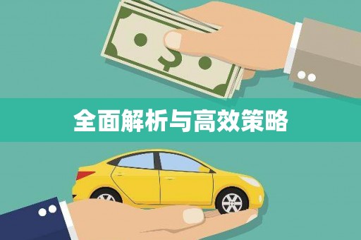 郴州全面解析与高效策略