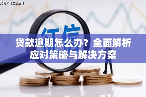 郴州贷款逾期怎么办？全面解析应对策略与解决方案