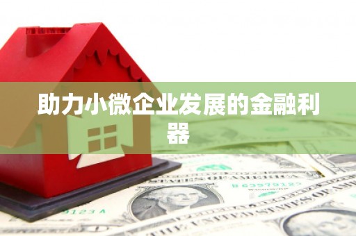 郴州助力小微企业发展的金融利器