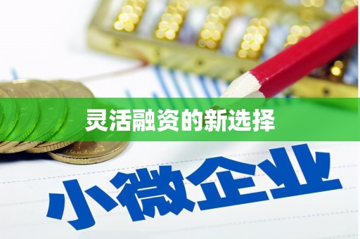 郴州灵活融资的新选择