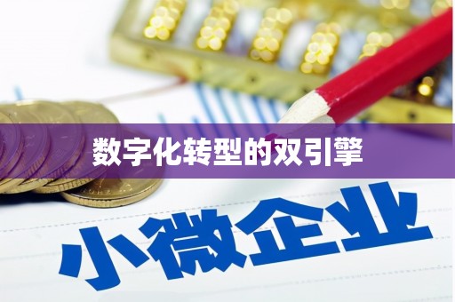 郴州数字化转型的双引擎