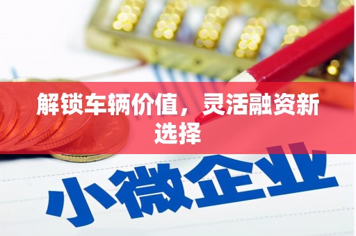郴州解锁车辆价值，灵活融资新选择