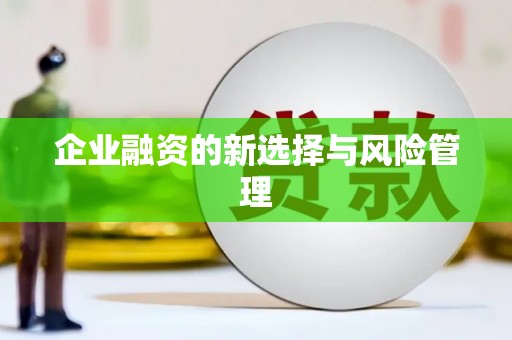 郴州企业融资的新选择与风险管理