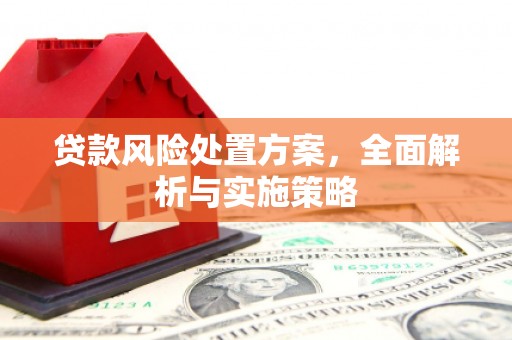 郴州贷款风险处置方案，全面解析与实施策略