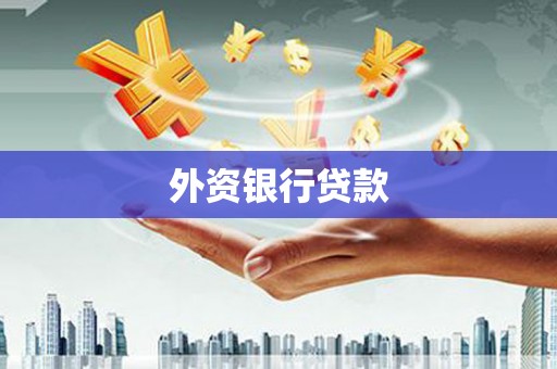 郴州外资银行贷款