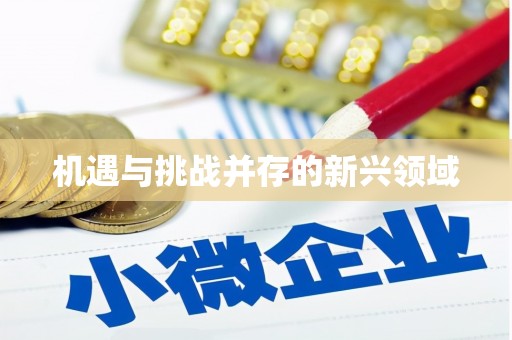 郴州机遇与挑战并存的新兴领域