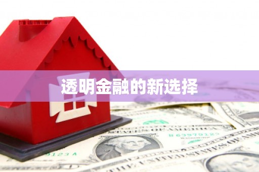 郴州透明金融的新选择