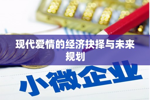 郴州现代爱情的经济抉择与未来规划