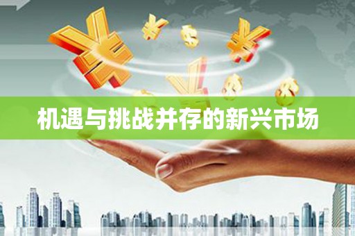郴州机遇与挑战并存的新兴市场