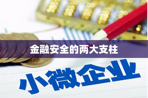 郴州金融安全的两大支柱