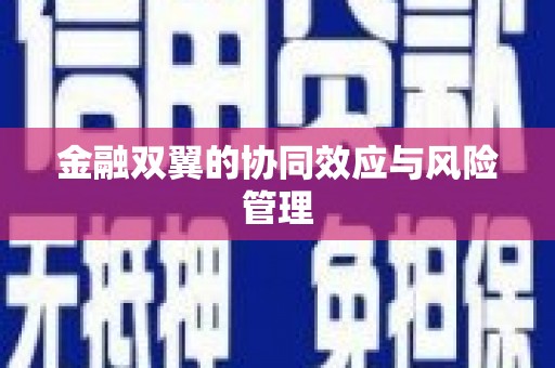 郴州金融双翼的协同效应与风险管理