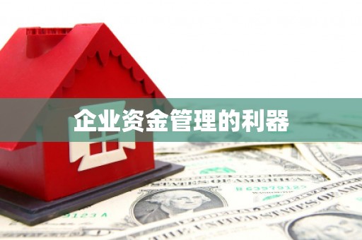 郴州企业资金管理的利器