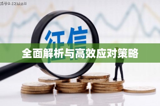 郴州全面解析与高效应对策略