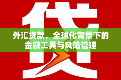 郴州外汇贷款，全球化背景下的金融工具与风险管理