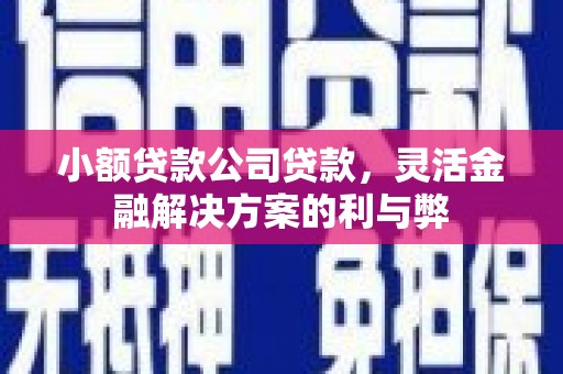 郴州小额贷款公司贷款，灵活金融解决方案的利与弊