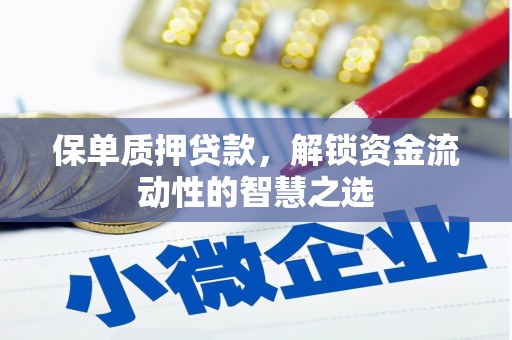 郴州保单质押贷款，解锁资金流动性的智慧之选