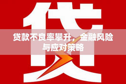 郴州贷款不良率攀升，金融风险与应对策略