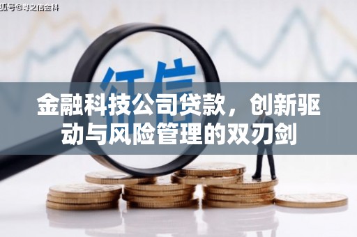 郴州金融科技公司贷款，创新驱动与风险管理的双刃剑