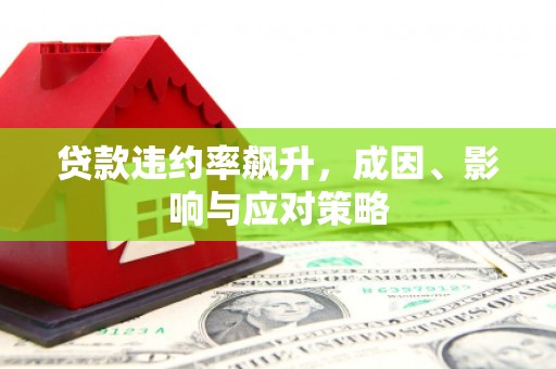 郴州贷款违约率飙升，成因、影响与应对策略