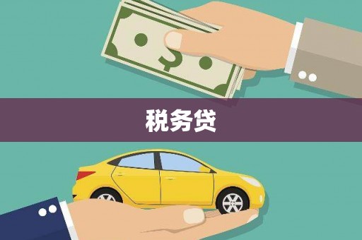 郴州税务贷